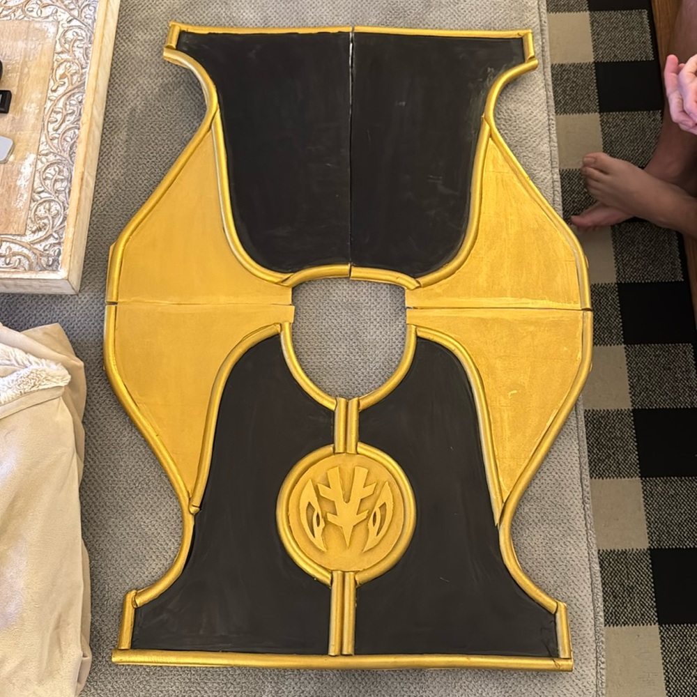 Adult Sized Handmade White power ranger shield